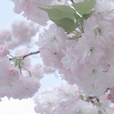 Furry萌系风格设计技巧FurryQQ群